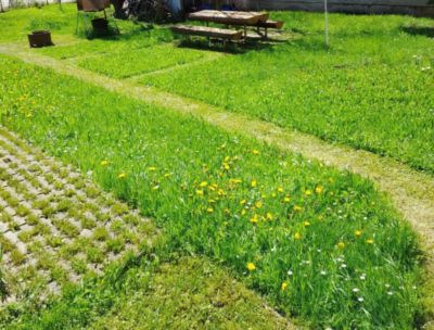 Rodinný dom vo vyhľadávanej lokalite so záhradou a garážou, Brezno - 6