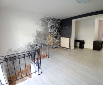 Prenájom šikovný obchodný priestor, 50m2, kúsok od centra Piešťan
