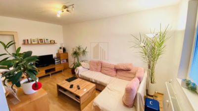 1 izbovy byt s balkónom, Nové Mesto nad Váhom