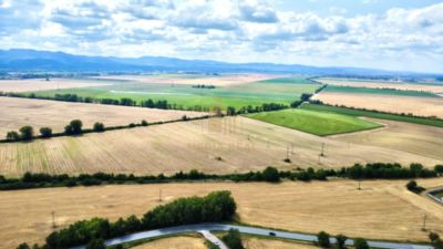 Predaj poľnohospodárskeho pozemku s výmerou 30.000 m2, Nové Mesto nad Váhom