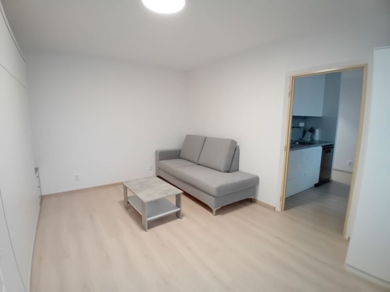 Prenájom krásny, luxusný, nadštandardný 1-izbový byt v peknom prostredí, Nové Mesto nad Váhom - 4