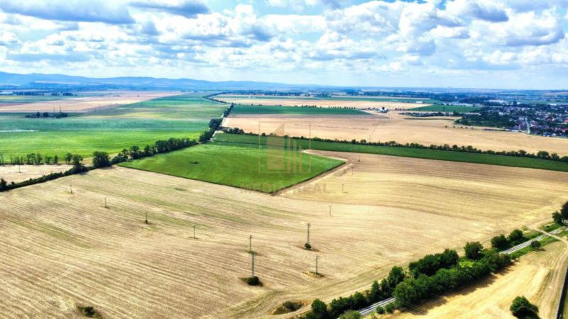 Predaj poľnohospodárskeho pozemku s výmerou 30.000 m2, Nové Mesto nad Váhom - 2