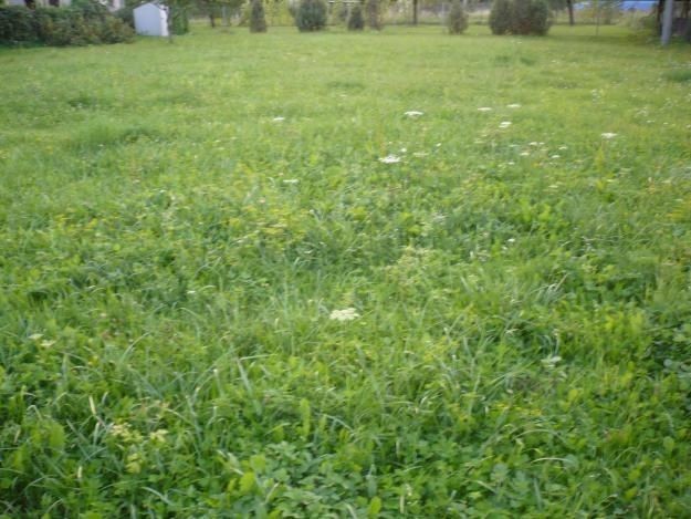 Ponuka pozemku pre developera, 45.500 m2, Hrádok