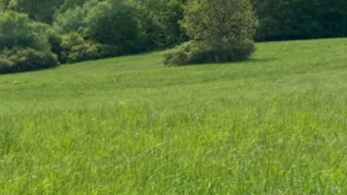 Na predaj pozemok 3.500 m2 Nove Mesto nad Vahom